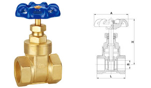 W503 11 Forged brass gate valve