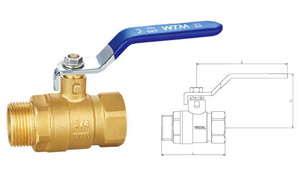 W100 21 Ball valve