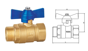 W100 22 Ball valve