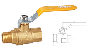 W110 21 Ball valve