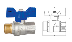 W110 22 Ball valve